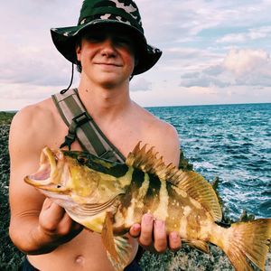 Meet your Posher, Schaefer